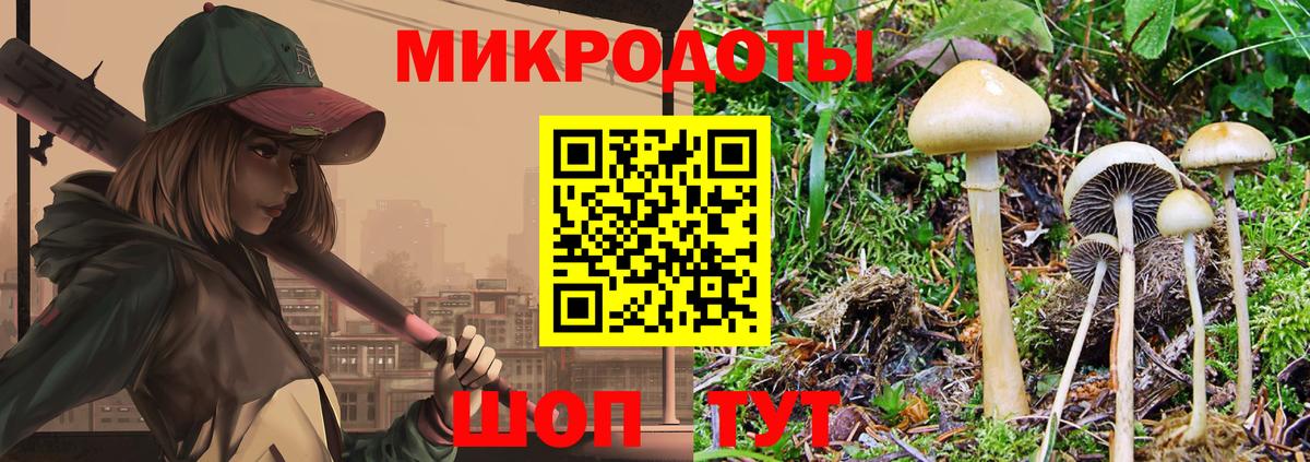 купить наркоту  Псилоцибиновые грибы мухоморы  Вход с VPN  Свободный  Псилоцибиновые грибы GOLDEN TEACHER 